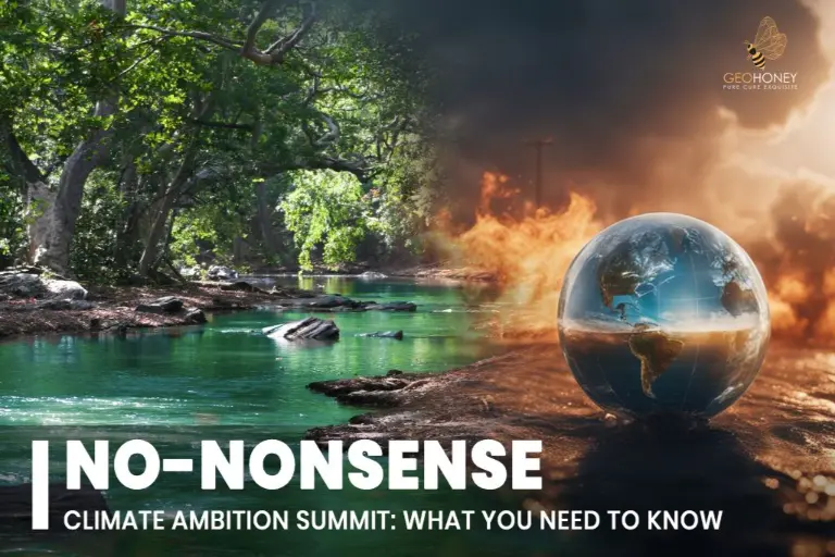 Leaders, governments, and organisations are coming together at the 'No-Nonsense' Climate Ambition Summit to address these issues and promote climate justice.